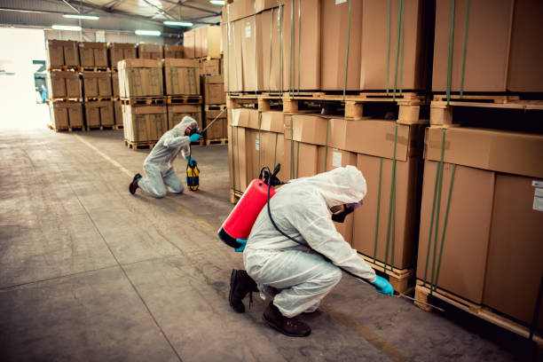Pest Control for Restaurants in Ferry Pass, FL