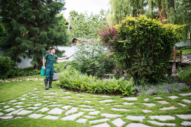 Best Pest Removal Services  in Ferry Pass, FL