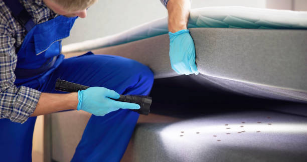 Trusted Ferry Pass, FL Pest Control Experts