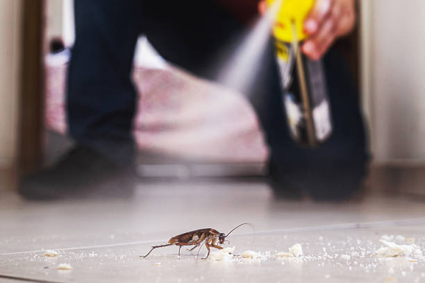 Best Exterminator Services  in Ferry Pass, FL